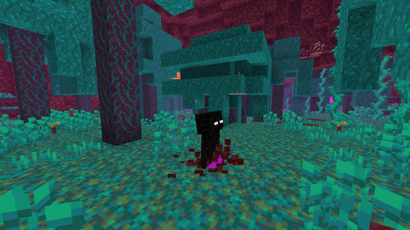 Enderman